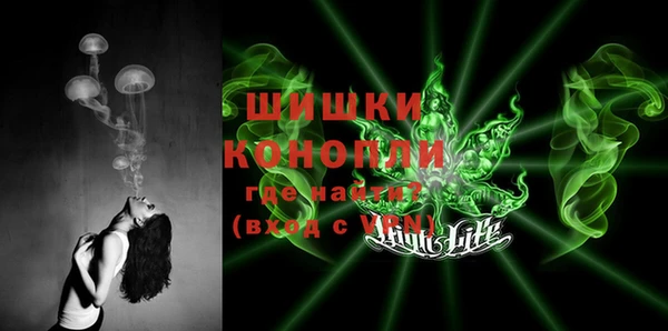 бошки Бронницы