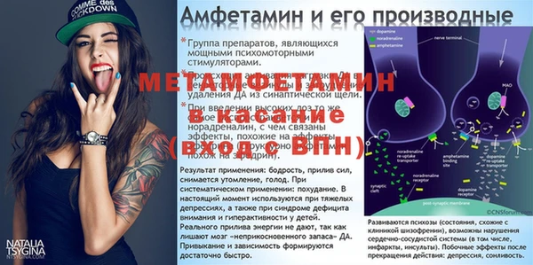 прущие грибы Бугульма