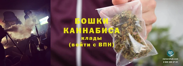 бошки Бронницы