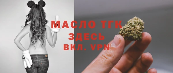 спайс Инсар