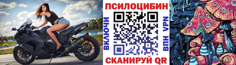 купить наркотики цена  Киржач  Псилоцибиновые грибы Psilocybe 